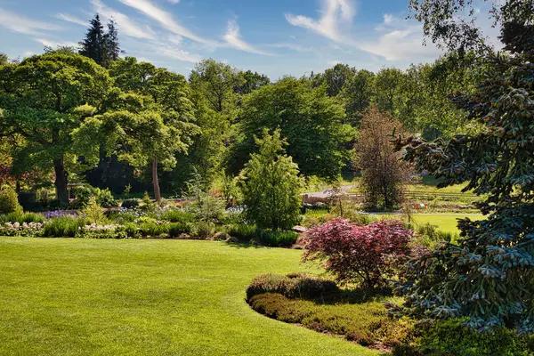 Exploring the World of Raised Garden Beds